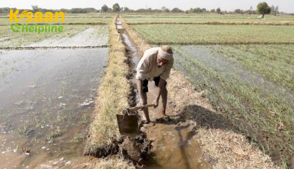 इस वित्तीय वर्ष में उत्पादन खर्च को पूरा करने के लिए किसानों को 1.20 लाख करोड़ रुपये के फसली ऋण देने का लक्ष्य : नाबार्ड